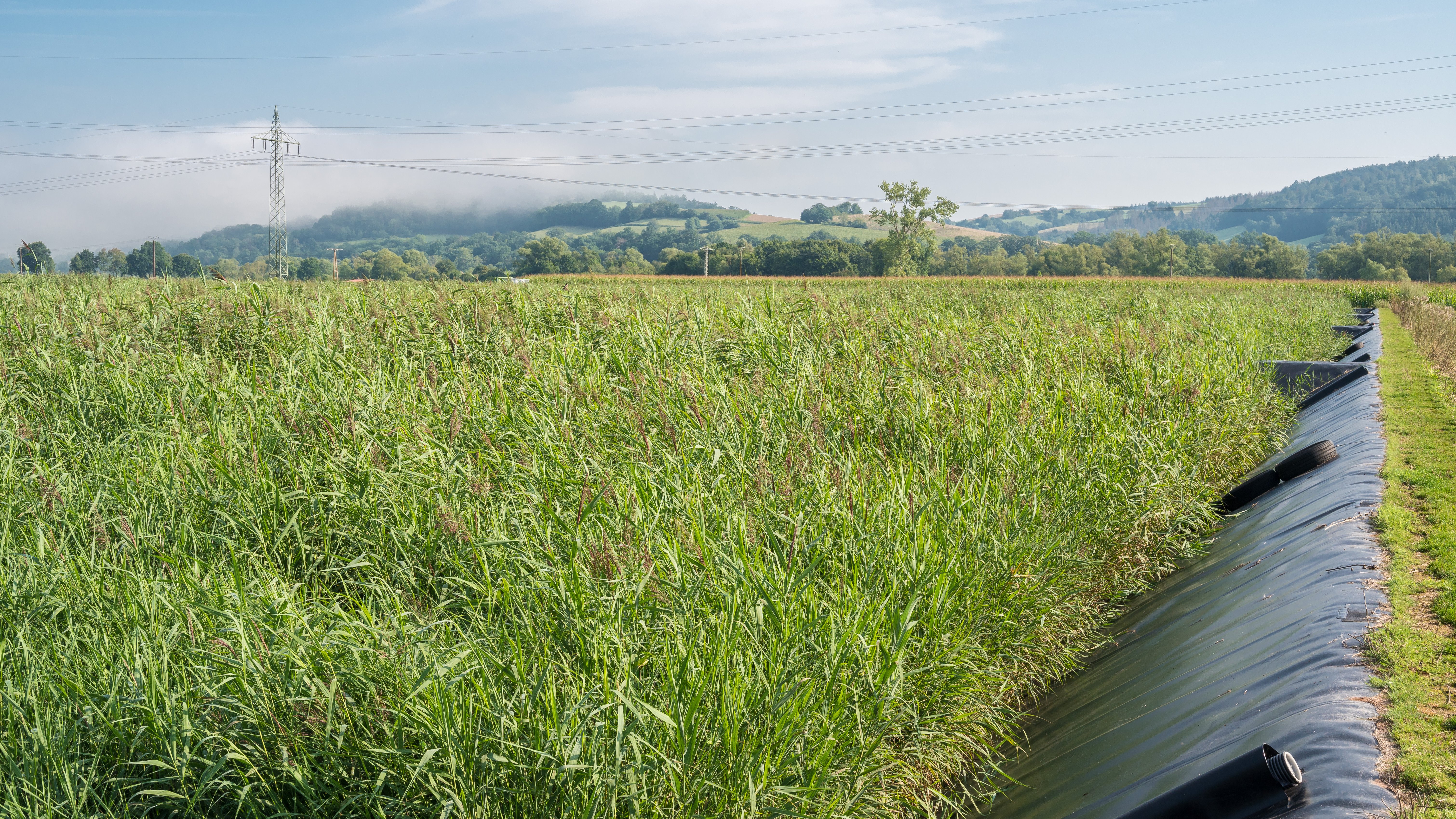 Die Hochleistungsvererdung ist speziel für anaerob stabilisierte Klärschlämme entwickelt worden