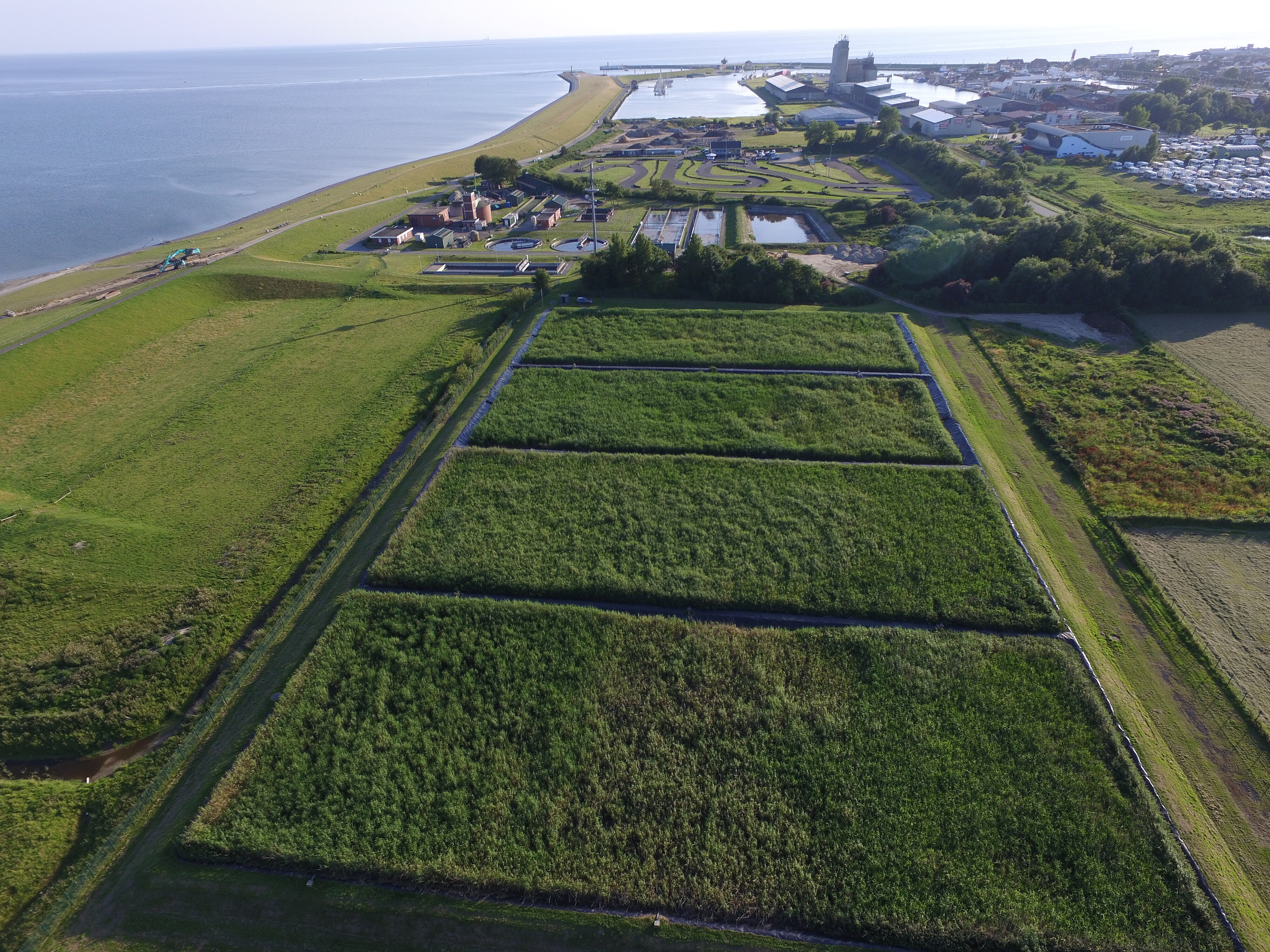 Büsum, Klärschlammvererdung, 