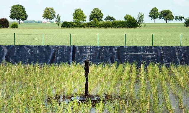 Leistungsfähigkeit der Hochleistungsvererdung ist durch jahrelange Erfahrung belegt