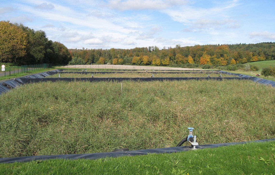 Klärschlammvererdung entwässert das ganze Jahr über zuverlässig