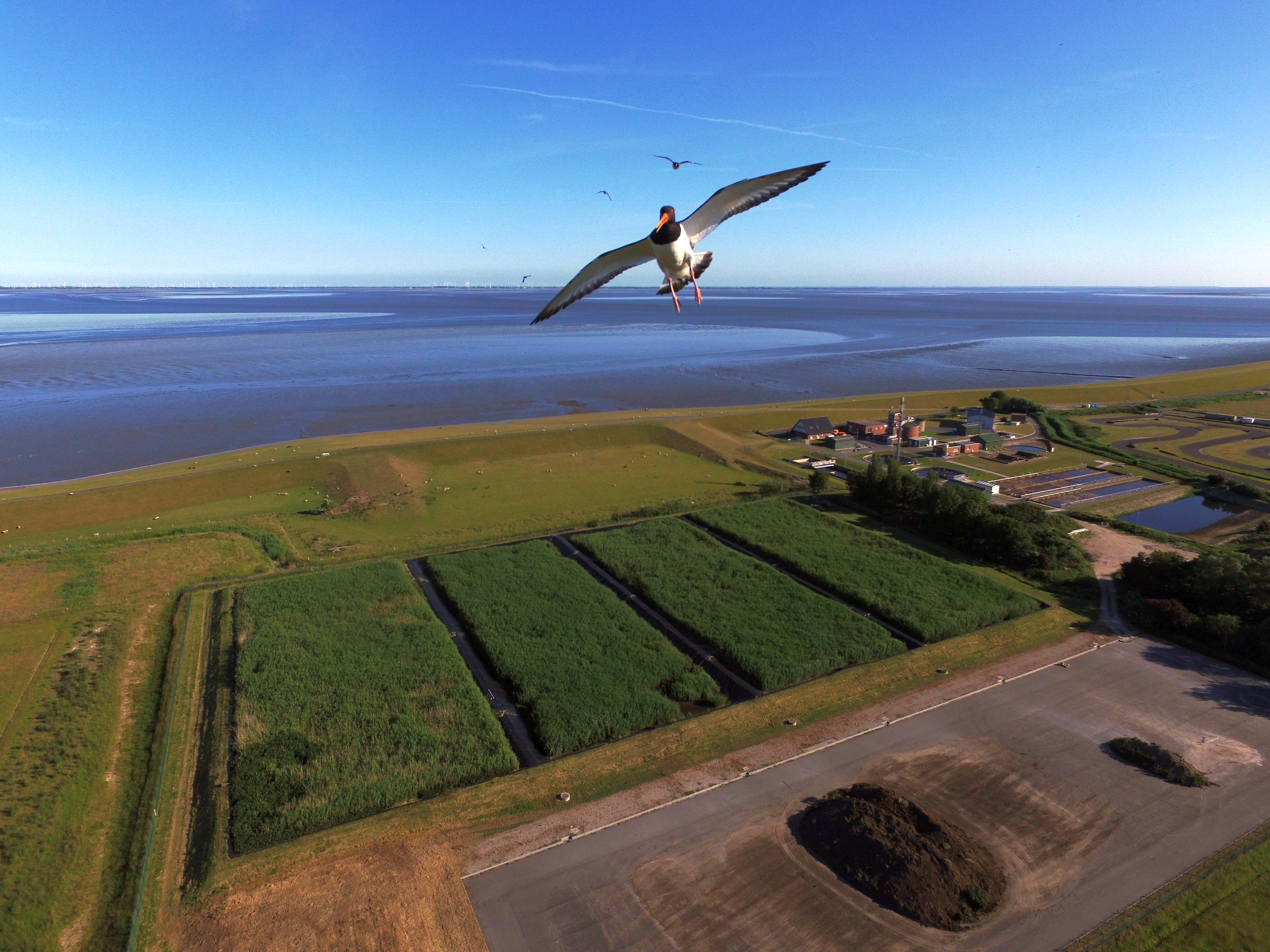 Abwassermengen, Tourismus, Büsum