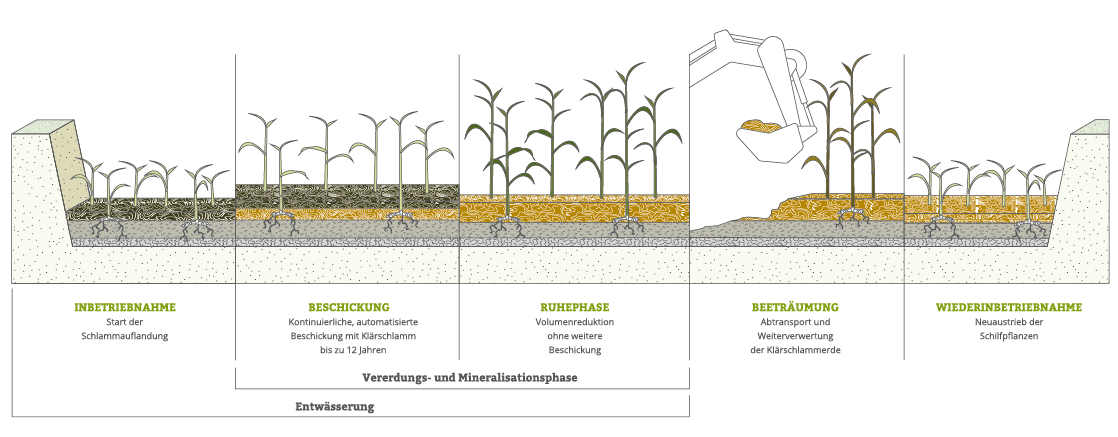 Verfahrensablauf der EKO-PLANT Klärschlammvererdung