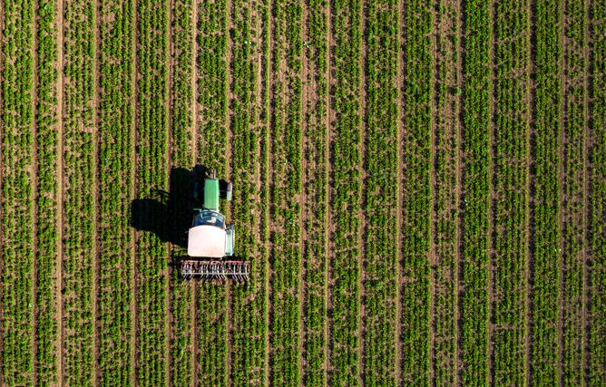 Landwirtschaftliche Verwertung von Klärschlammerde