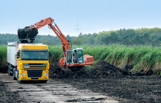 Kontinuierliche Beetpflege und Ertüchtigung